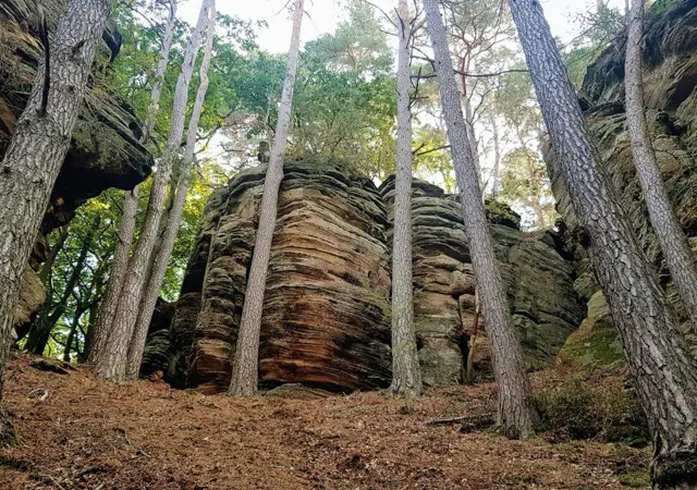 Mullerthal wandeling