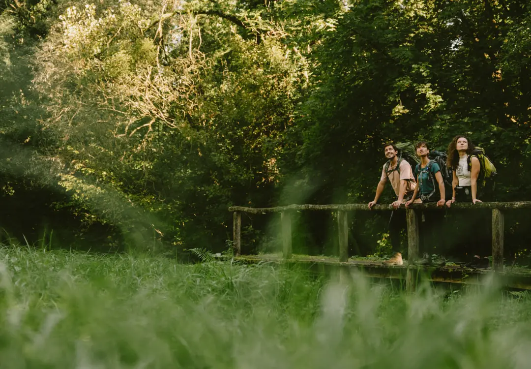 Mullerthal wandeling